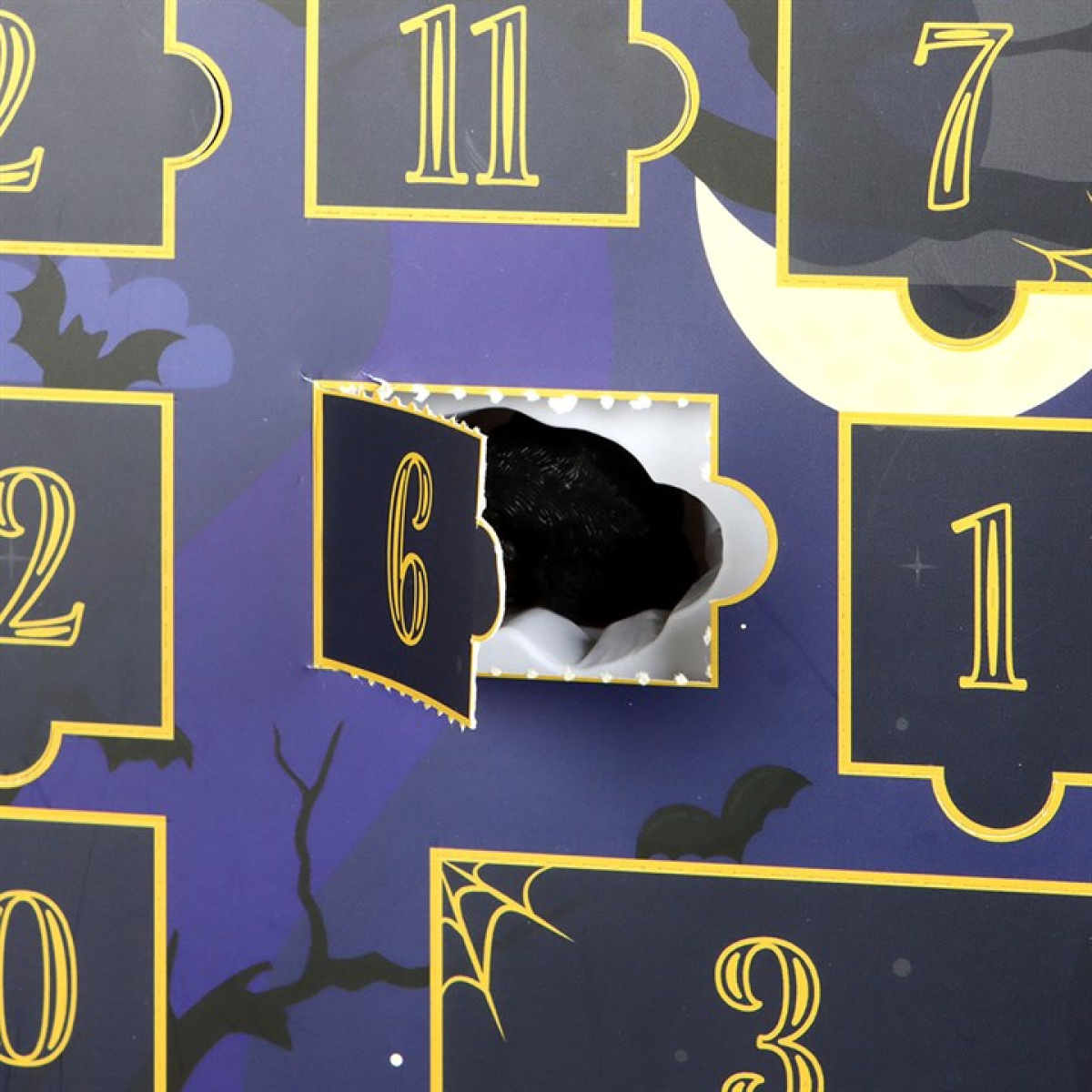 *Shelf of Shadows 12-Day Halloween Advent Calendar (18/36)